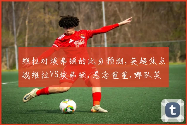 维拉对埃弗顿的比分预测,英超焦点战维拉VS埃弗顿,悬念重重,哪队笑到最后