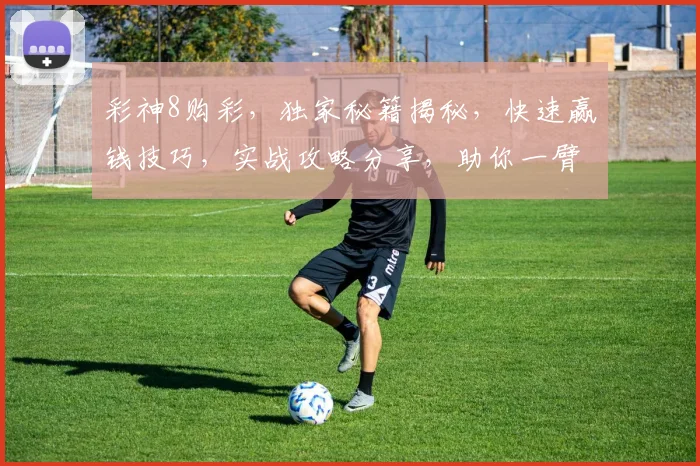 彩神8购彩，独家秘籍揭秘，快速赢钱技巧，实战攻略分享，助你一臂之力，轻松中奖
