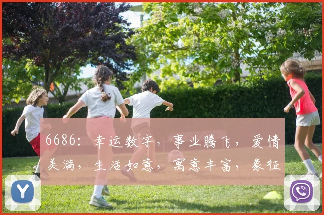 6686：幸运数字，事业腾飞，爱情美满，生活如意，寓意丰富，象征无限可能