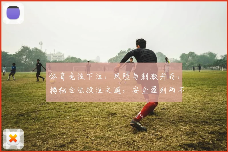 体育竞技下注，风险与刺激并存，揭秘合法投注之道，安全盈利两不误